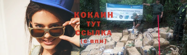 дурь Мегион