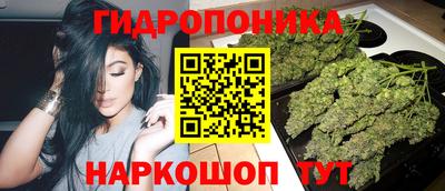 гидропоника Ипатово