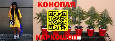 гидропоника Ипатово