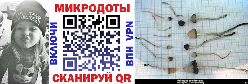 дарк нет телеграм  Ржев  Псилоцибиновые грибы Magic Shrooms  купить  цена 