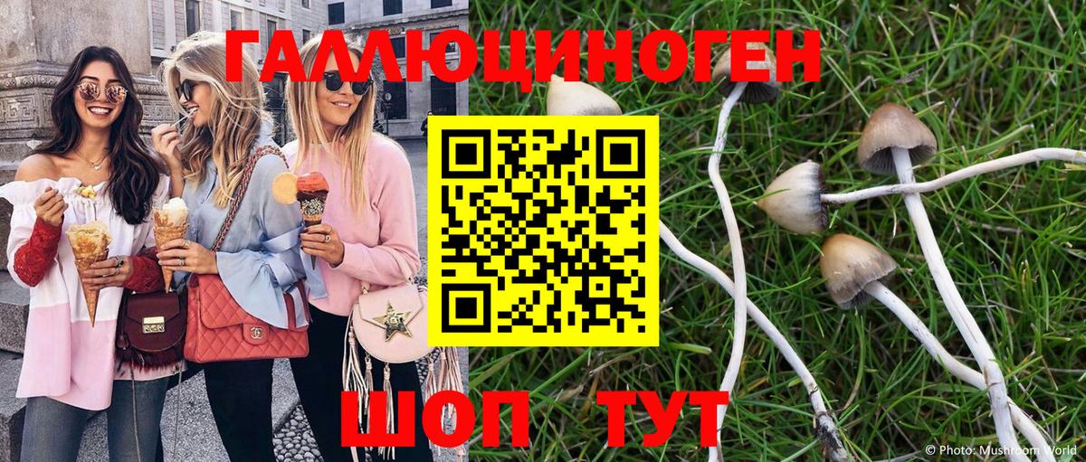 дарнет шоп  Псилоцибиновые грибы мухоморы  Вход с VPN  Галлюциногенные грибы мицелий  Ржев 